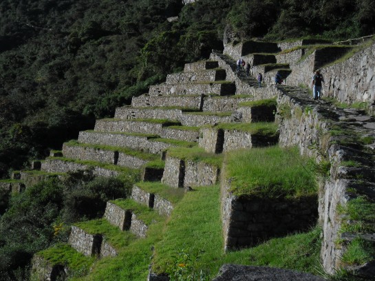 Agricultural terraces below the Inca Trail